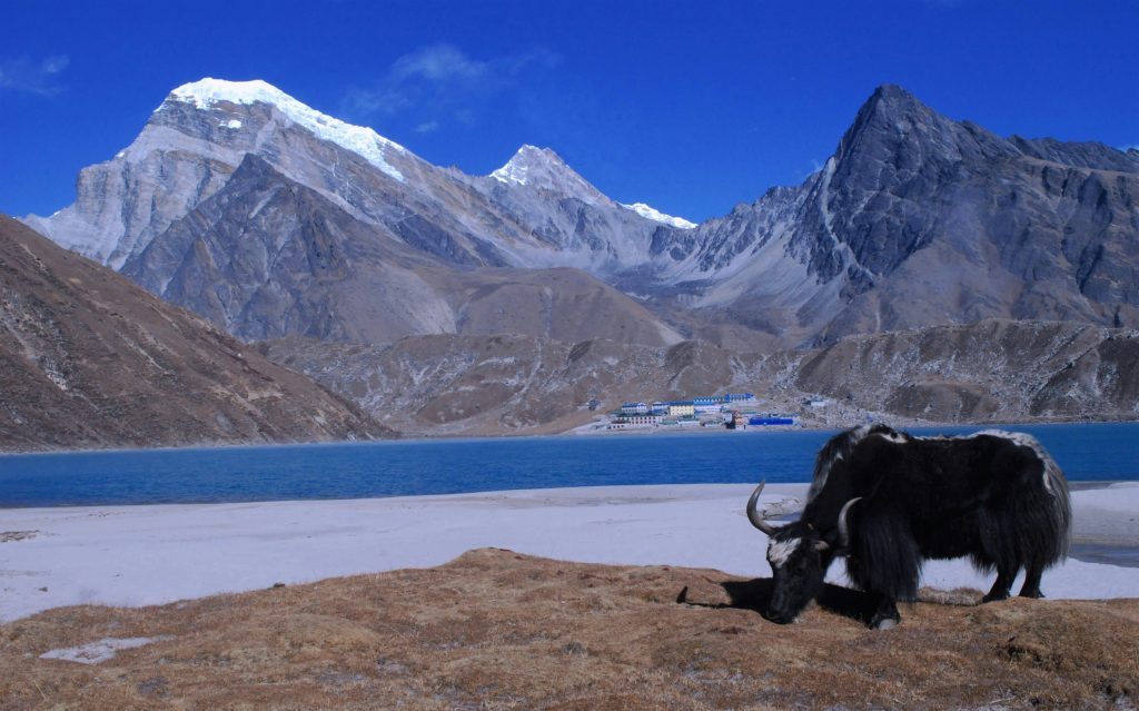 Gokyo Valley Trek