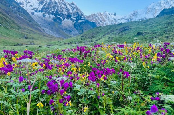 Food on Annapurna Base Camp Trek